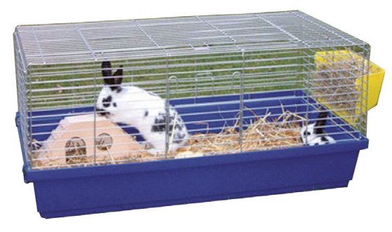 cage-lapin