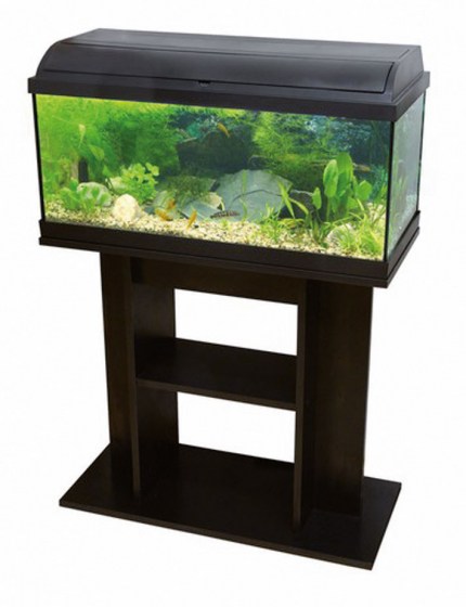 meuble-aquarium