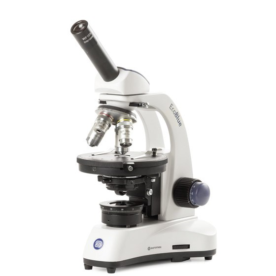 microscope-euromex-ecoblue-polarisant