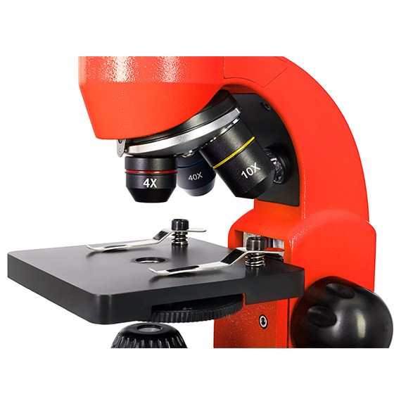 microscopes-50L-color-oculaires